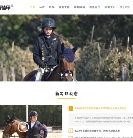 圣盾骑甲