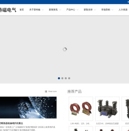 山东雷特磁电气设备有限公司