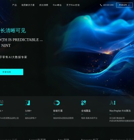Nint任拓集团官方网站 - 全域数字零售AI大数据专家_可视化电商大数据检测分析服务平台