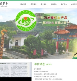 滕州绿萝卜-滕州市龙阳绿萝卜产业发展联合会-龙阳绿萝卜