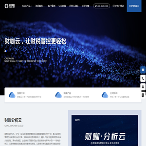 财咖_财务体系搭建与数字化建设专家