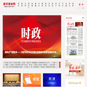 新华报业网
