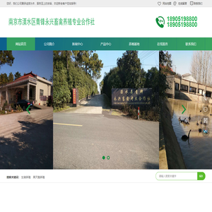 南京生猪养殖-黑天鹅养殖-南京市溧水区青锋永兴畜禽养殖专业合作社