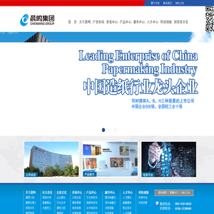 晨鸣集团，晨鸣纸业-山东晨鸣纸业集团股份有限公司