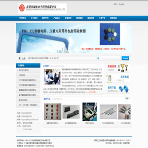 东莞市福佑电子科技有限公司