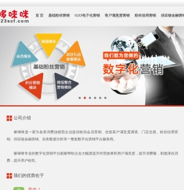 哆咪专业的企业数字化营销专家