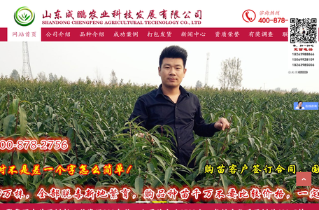 苹果苗批发_苹果苗厂家-山东成鹏农业科技发展有限公司