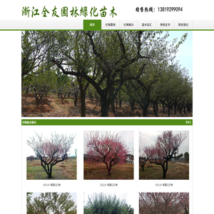 浙江红梅批发供应商|长兴红梅苗木种植基地|林城红梅苗木价格行情|长兴全友红梅苗木场