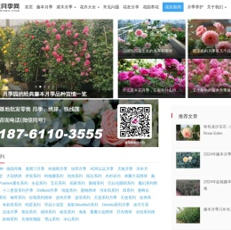 藤本月季网-月季知识分享网站-月季苗批发基地