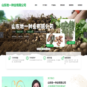 潍花22号花生品种-潍花25号花生品种 - 山东地一种业有限公司