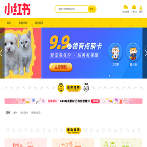恋崽物语-养宠指南与宠物故事社区