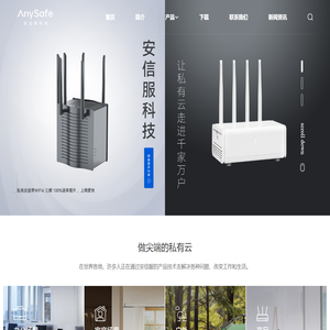 安信服（深圳）科技有限公司