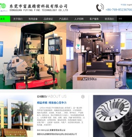 东莞市富盈精密科技有限公司