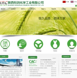 陕西恒润化学工业有限公司