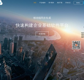 软件开发平台 移动开发平台 SAAS平台 基础软件 快速开发平台