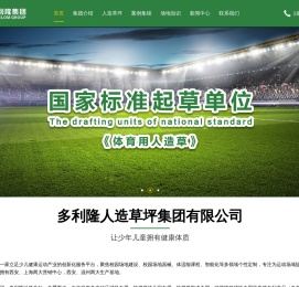 多利隆人造草坪集团有限公司