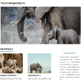 大象百科