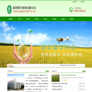湖北隆华种业有限公司|稻谷种子|丰籼占|隆华占|