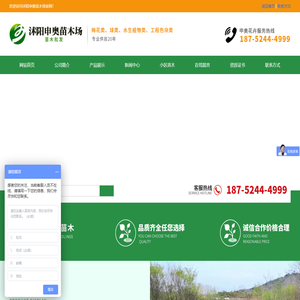 沭阳申奥苗木场_沭阳申奥苗木场