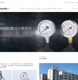 浙江圣迪仪表有限公司