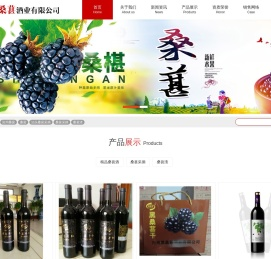 沧州桑葚-泊头桑葚采摘加盟桑葚酒 - 沧州市黑桑葚酒业有限公司