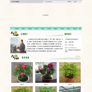 永济市艳装牡丹科技开发有限公司―牡丹,芍药,花木,苗木,鲜切花供应基地