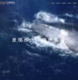 水木梧桐创投