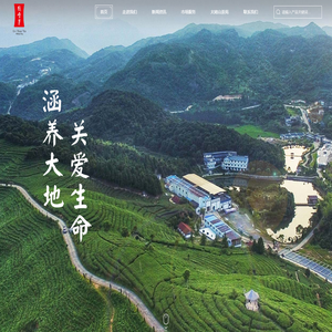 绿雪芽【官网】福鼎白茶_太姥山白茶_绿雪芽白茶_白茶标杆-茶业加盟