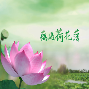 荷花荡景区