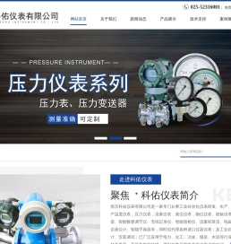 南京科佑仪表有限公司
