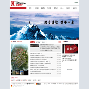 山东齐鲁盛华房地产有限责任公司