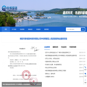 绵阳市佳成投资有限公司