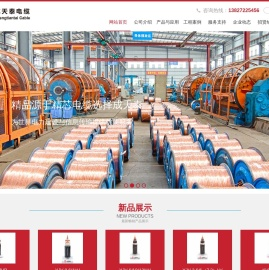 东莞市中业电缆有限公司