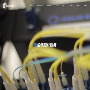 2808Proxy | 企业级独享代理IP服务
