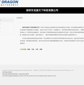 深圳市龙游天下科技有限公司