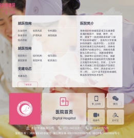 湖南省妇幼保健院线上平台