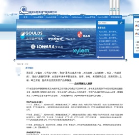 GOULDS古尔兹水泵_FLYGT飞力水泵_LOWARA罗瓦拉水泵_B&G空调泵-原ITT水泵分拆现Xylem水泵授权代理销售及维修配件售后服务中心