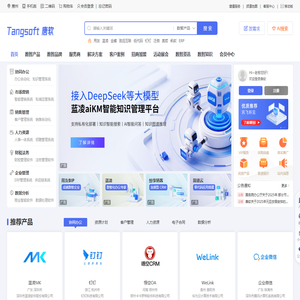 唐软 - 中国企业数智化网