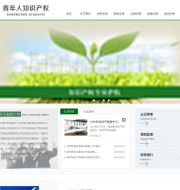 深圳青年人专利商标代理有限公司