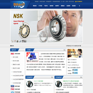NSK轴承 NSK进口轴承 日本NSK轴承型号 NSK轴承中国总代理 -武汉斯洛森科技有限公司