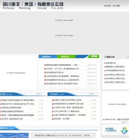 四川美丰（集团）有限责任公司