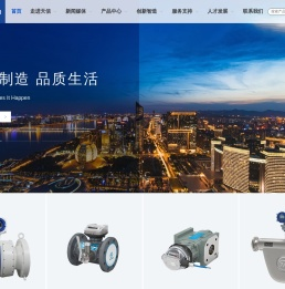 天信仪表集团有限公司