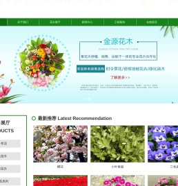 莒南草花基地|临沂草花基地|山东草花基地-莒南县金源花木种植专业合作社
