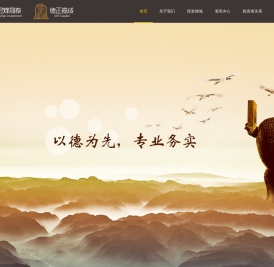 深圳市德正嘉成投资管理有限公司