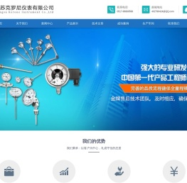 江苏克罗尼仪表有限公司