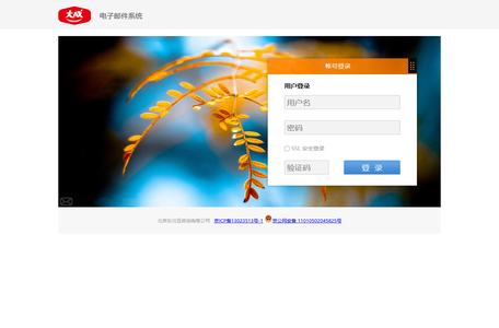 东北亚咨询
