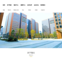 成都市东方兴城科技发展有限公司