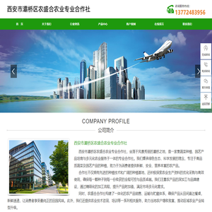 西安市灞桥区农盛合农业专业合作社