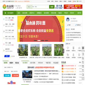 农苗网|苗木求购信息-园林绿化专业苗木网站