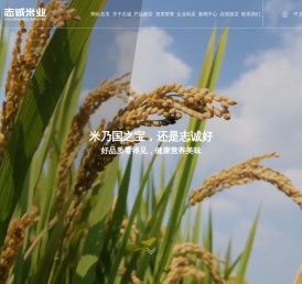 蟹田大米_长粒香大米_盐丰大米-营口志诚米业有限公司